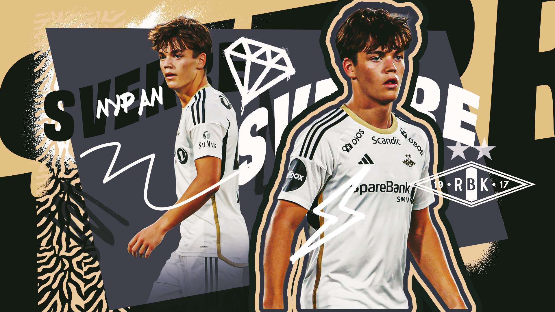 職業化健康 職業化健康